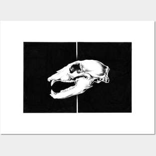 SKULL SERIES - THE BEAR Posters and Art